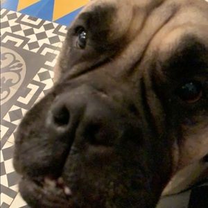 Meet your Posher, Christopher